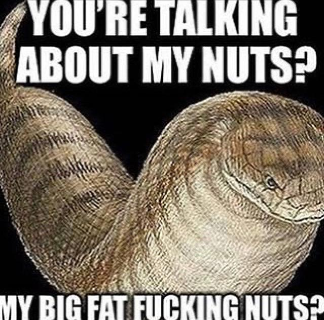 𝑻𝑯𝑰𝑺 𝑰𝑺 𝑾𝑯𝑨𝑻 𝑺𝑬𝑷𝑨𝑹𝑨𝑻𝑬𝑺 𝑼𝑺 (@ace_detective_) on Twitter photo 