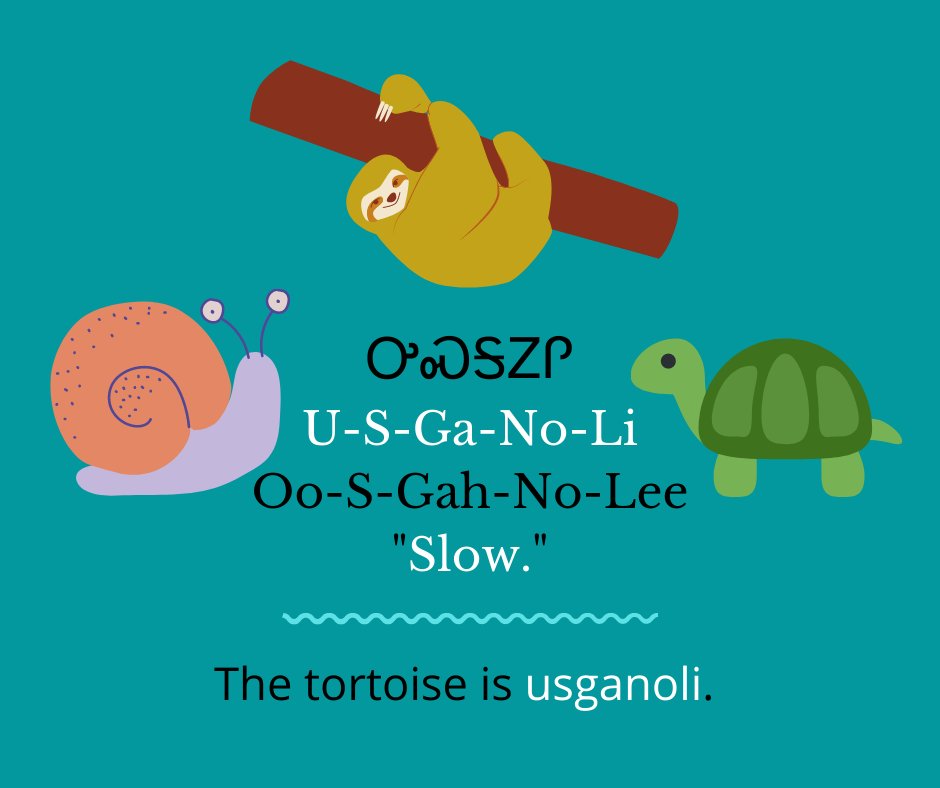 NSUNASC's tweet image. Cherokee Word of the Day:

ᎤᏍᎦᏃᎵ
Usganoli
Oo-S-Gah-No-Lee

"Slow."