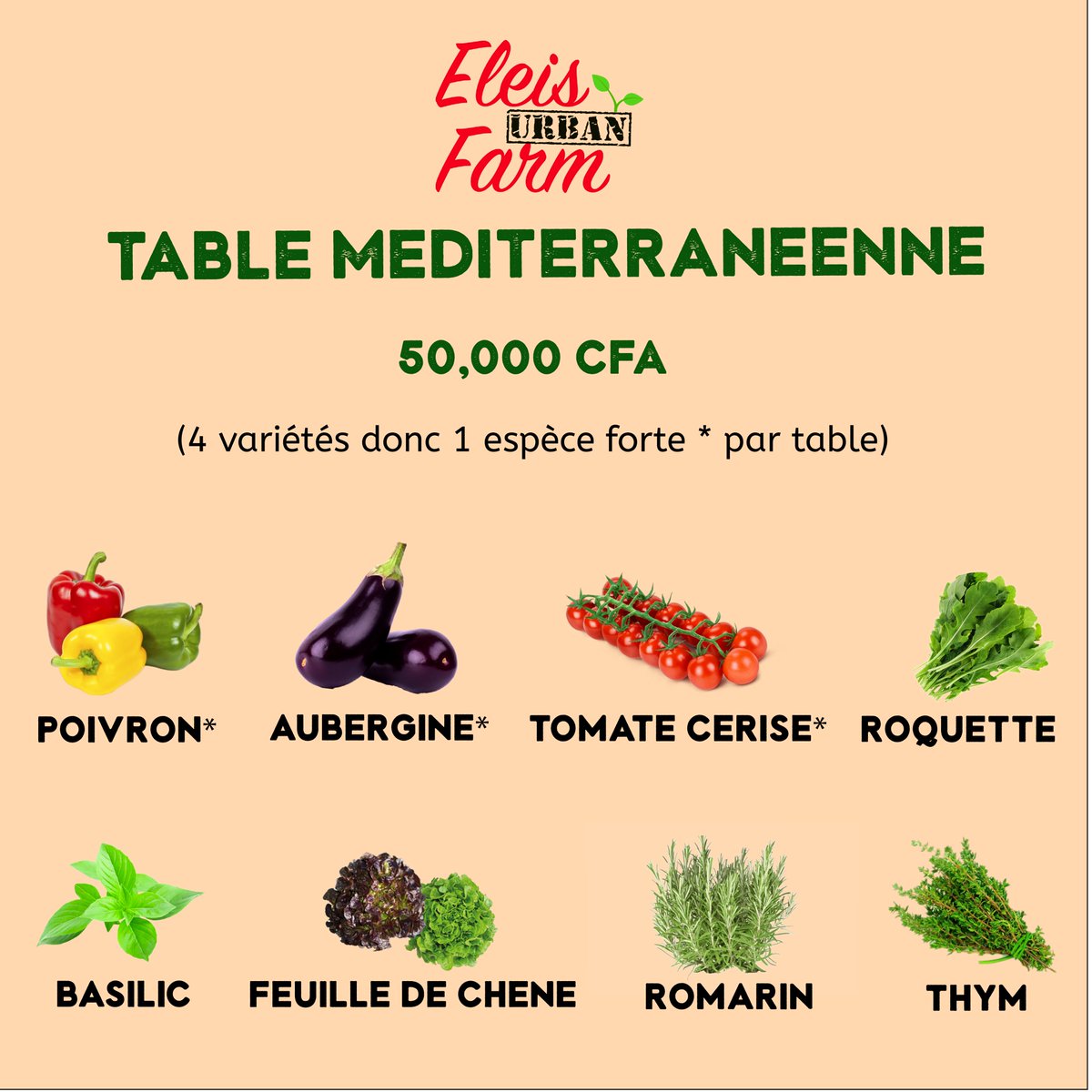 EleisFarm's tweet photo. Vous y retrouvez les produits essentiels de la cuisine méditerranéenne pour une cuisine savoureuse (4 variétés par table)

🌱espèce forte: qui est gourmande qui demande + de nutriments et de soins

#EleisUrbanFarm
#eleisfarm
#garden
#potager
#jardinage https://t.co/zsTph23T0Z