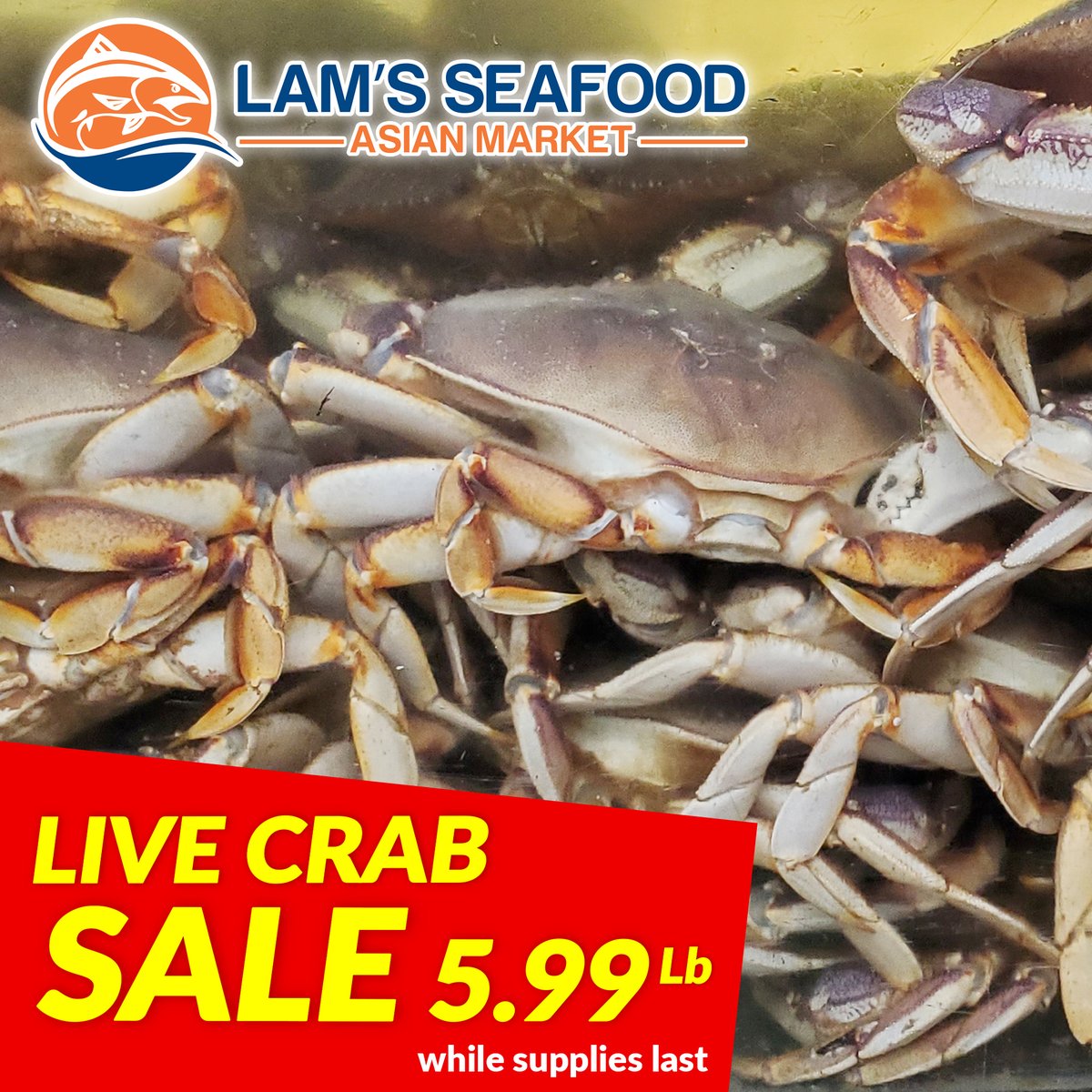 LIVE CRAB SALE!!🔥🔥
Missing legs or claws Crab $5.99/lb (Prices are subjected to change without notice)
While supplies last!
Please call our stores # for products availability before your trip. Reach our stores at: Tukwila store:(206) 800-7840
Seattle store:(206) 720-0969