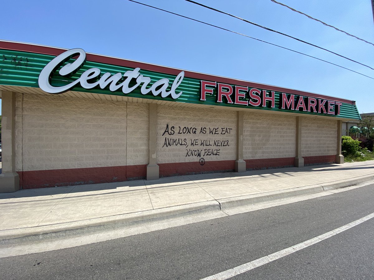 CentralFresh's tweet image. We are in search of local talent to help us transform our store front into a positive message / mural. Please tag, comment, or  direct message us with your artist recommendations! #KWawesome #DTKlove #DTK #Midtown #KitchenerWaterloo #SupportLocal #InThisTogether #Graffiti