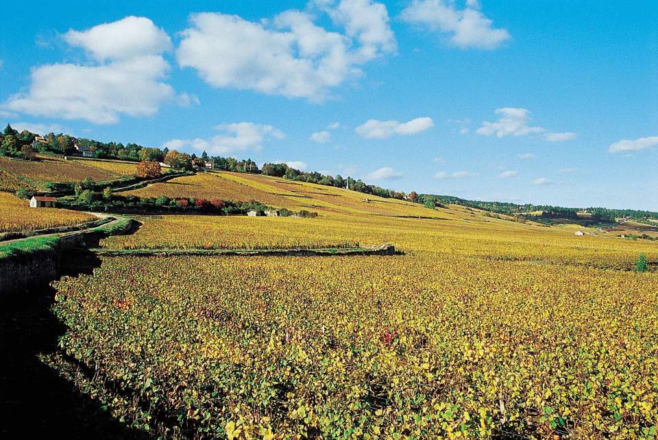 ordesvalois's tweet photo. Un hotel sur Gevrey pour profiter de la région et venir nous rencontrer .. je vous suggère https://t.co/xoK0oVLvxv https://t.co/w3s7W5XSp9