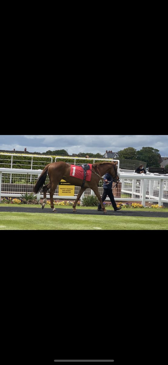 Ackworth Racing: So Five And Dime, which position are you going to finish in the 4.40 next Tuesday?                          

Five and Dime: 🤪