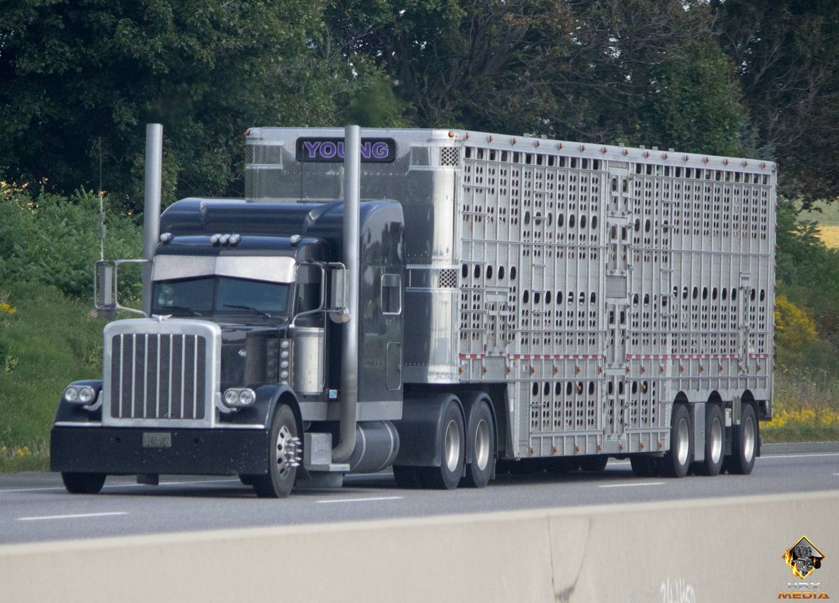 Joseph Graham (@graham_jos) on Twitter photo 