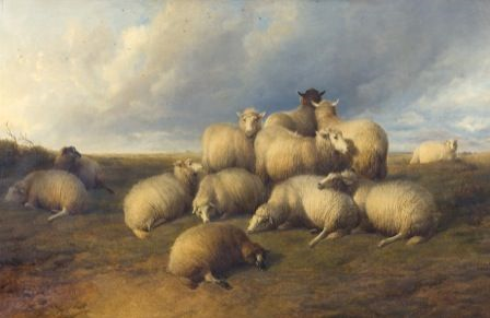 NatMuseumArt's tweet photo. Thomas Sidney Cooper: master of the sheep pile-up.
Does neb yn paentio pentyrrau o ddefaid cystal â Thomas Sidney Cooper. Ffaith.
#defaid #sheep #victorianart #oesfictoria #animalart #painting #anifeiliaid https://t.co/vRV2amKe86