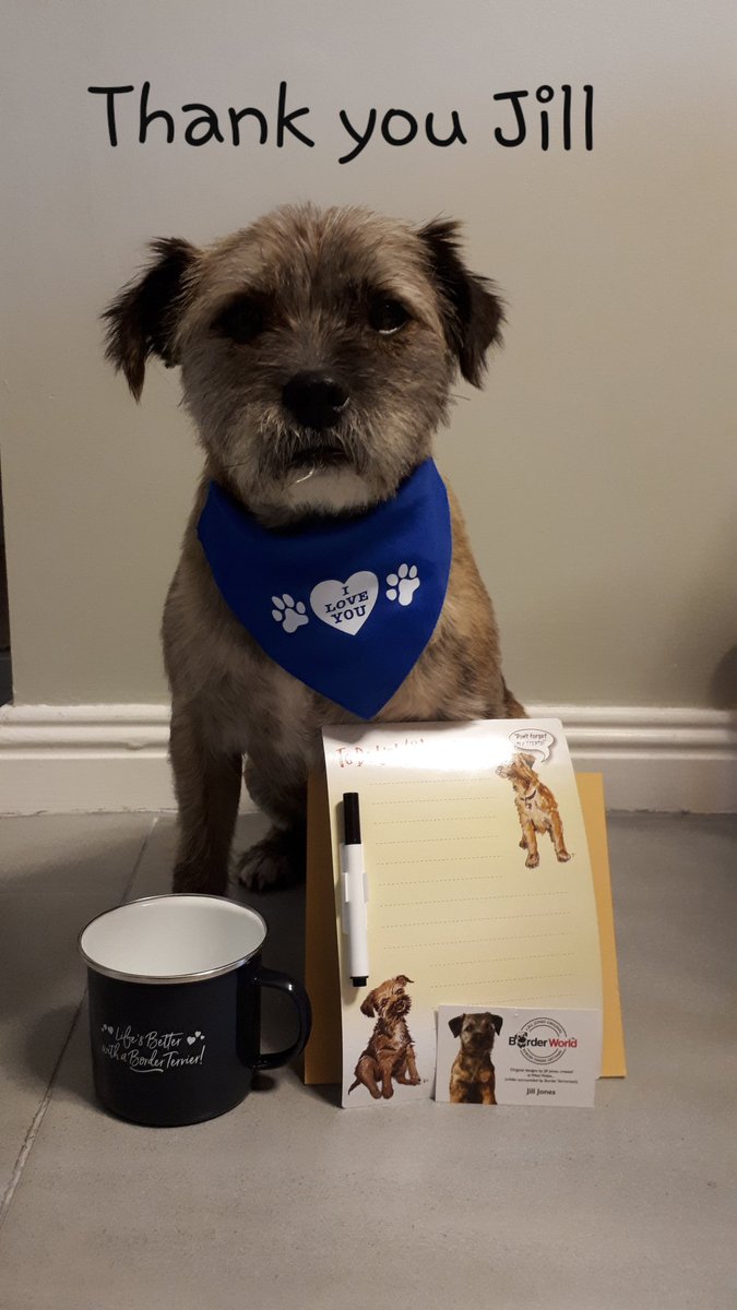 MissDaisyBelle1's tweet photo. A very BIG THANK YOU to Jill at @Borderworld1 for my wonderful bandana and mum's mug and other border terrier stuff. They really are very cool...😘😘🐶🌼🐾 https://t.co/dAqe4nnDq4