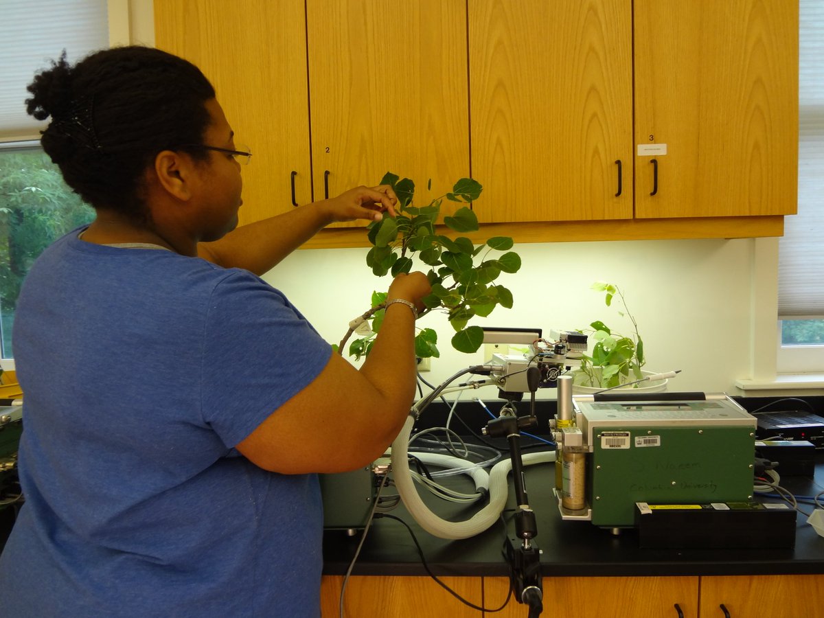 Hello all! It's  #BlackBotanistsWeek and today, I'd like to share my love for plants by telling you a story about why I chose to study tree responses to  #climatechange and how I go about doing so   #BlackPlantLove 1/10