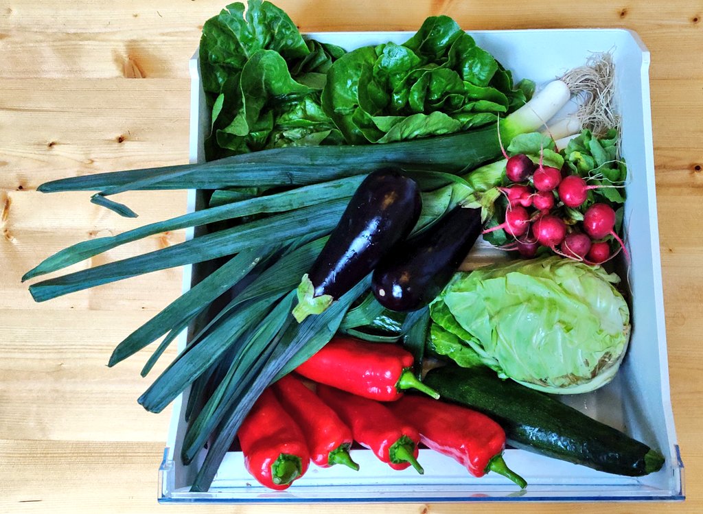 Tjonge jonge! Het pakket van € 12,50 + € 3,25 extra losse groenten. Het past niet in de groentenla...! #luxeprobleem. #bio #lokaal #seizoensgroenten #geenplastic 😋😋😋
Niet in de foto: bio kaas en dito eieren! 😉