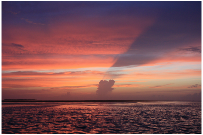 HistoricSeaport's tweet photo. “Call for the grandest of all earthly spectacles, what is that? It is the sun going to his rest.”

― Thomas de Quincey

📷: @kingofsunsets

#HistoricSeaport #KeyWest #LoveFL #Travel #Vacation #FLKeys #TheKeys #FloridaKeys
#BestSunsets #TopSunsets https://t.co/u0quAA626N