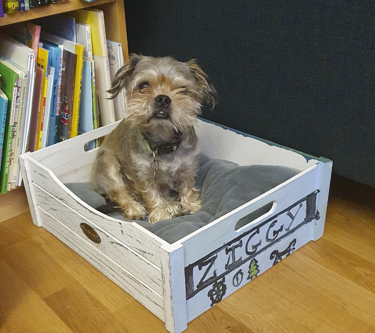 AbleSense's tweet photo. We've missed connecting in person with our coworkers, but today we acknowledge those that we've connected with in animal (🤷‍♂️) while #WAH: the loyal #petsofAbleSense.

This is Ziggy the #officedog. He's always there when you need him. https://t.co/XRtK0qPlfC
