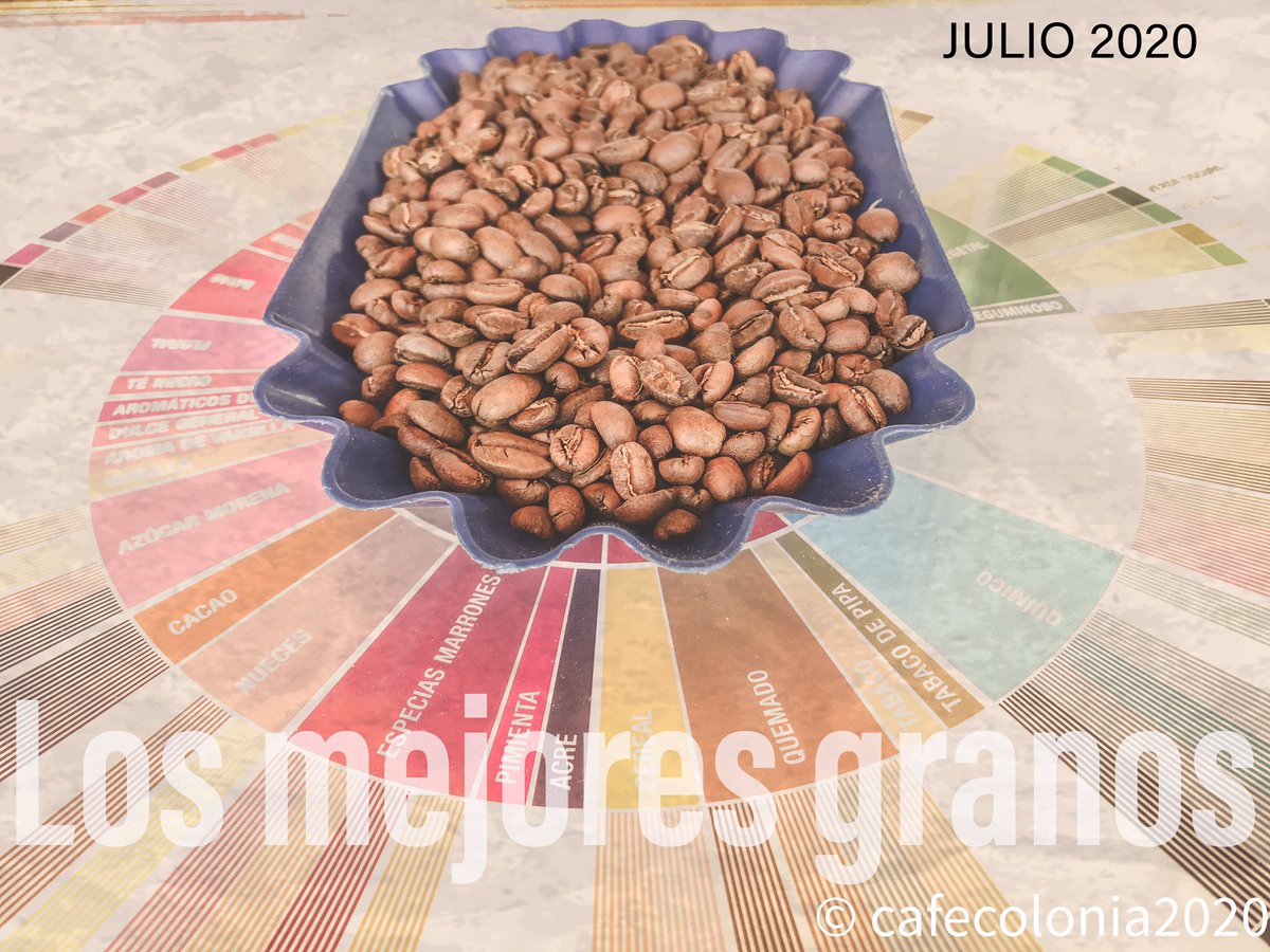 Cafe Colonia los mejores granos de especialidad
