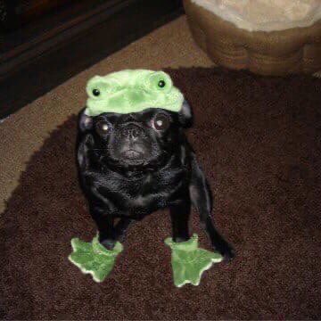 I AM 18 YEARS OLD LETSSSS GOOOOOO BAMBYYY