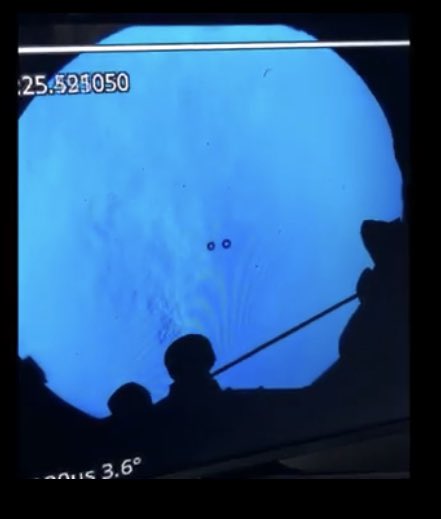 MaterSurgery tweet media