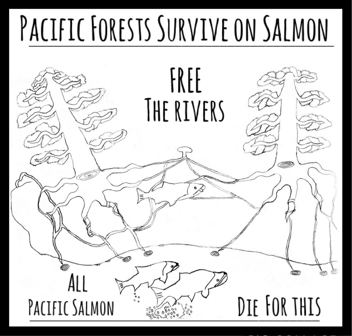 riversengineer's tweet photo. Dam Profiteers & Hatcheries.... DO NOT want THIS ART in the ECOLOGY BOOKS. This is a true reflection of the processes necessary to Sequester CARBON, reduce Forest Fires & facilitate ecosystems. #removedams #closehatcheries #freetherivers @canislatrans @CalTrout @npr https://t.co/ZjppvVhHg6