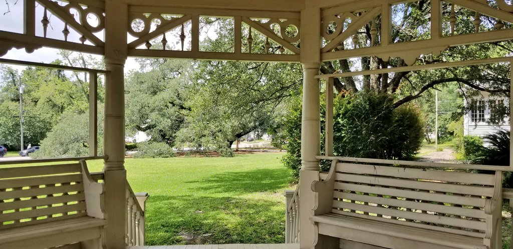 I made a video of my date with Thomasville Georgia's Big Oak (1680) #speechless 🌲🍃All laden with bright green #resurrectionfern,🌿 this grand lady is so gorgeous 🌿🌱🍃🌳
#historicdistrict #thomasvillega #trees #greenspace 
instagram.com/tv/CCZGDsPp6jq…