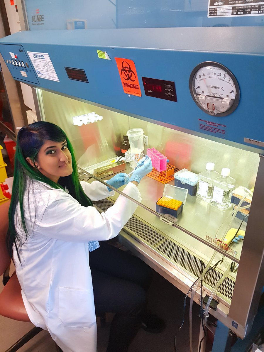 Hi! Quick introduction, I completed my PhD in 2019 at the University of Southampton, UK in the effects of maternal obesity on offspring long term anxiety and HPA response. I am now a postdoc in Boston, USA researching lipid metabolism in the placenta! I love placenta research!