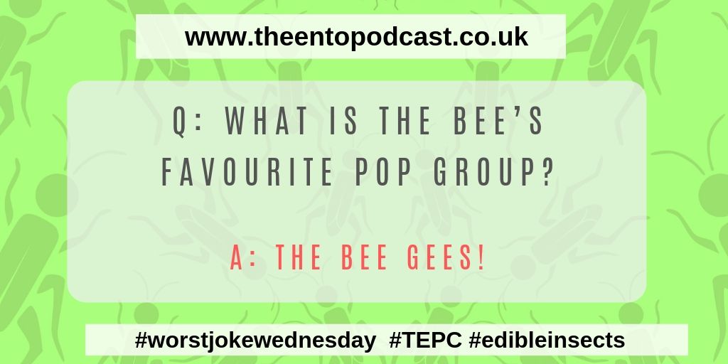 Happy Hump day enjoy our #worstjokewednesday, #ent