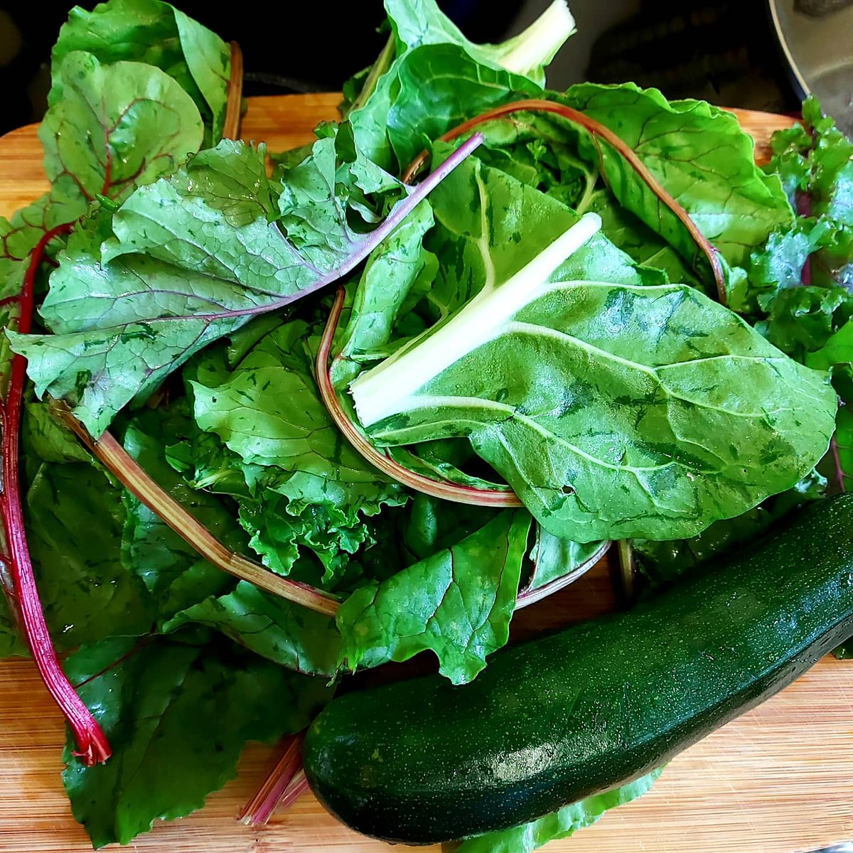 KellyWoodroffe's tweet photo. Kale, multi coloured Chard and a courgette off the garden to go in tonight's Sticky chilli and thyme Pork stir fry 😋 #homegrownveggies #offthegarden #getinmybelly https://t.co/i1IFpSyN9Q