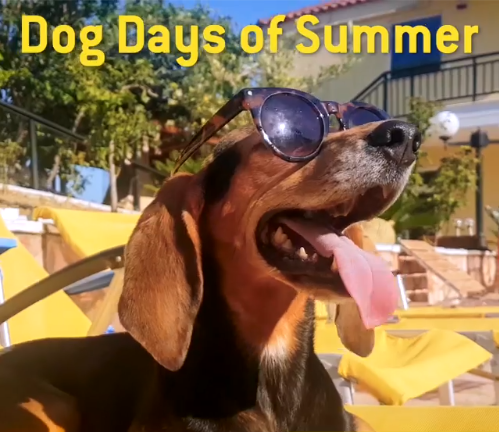 Modern Mechanical tweet media