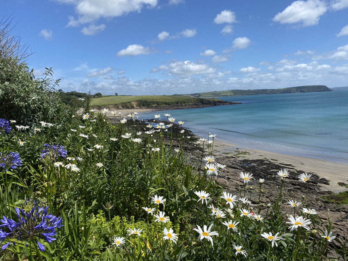 #naturephotography #coastalwalk #beach #cornwall #surfing #flowers #beautiful #lush #freshair #coastalliving #bytheocean #bythebeach #cornwallholiday #newquay #fistral #guesthouse #hostel #familyfriendly #couplesretreat#weekendaway#summerholiday#sea#ocean #beachsunsets #beachwalk