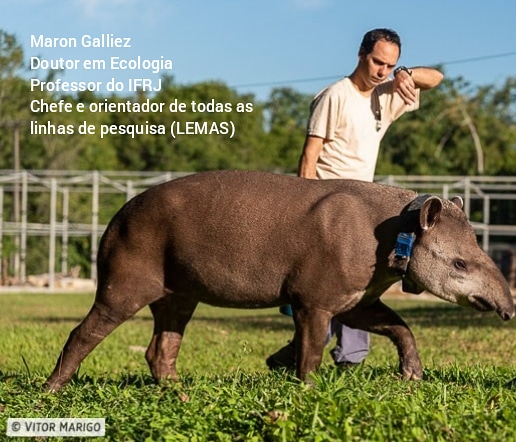 IfrjLemas's tweet photo. Queremos agradecer a todos os conservacionistas e ecólogos do Brasil, em especial os que compõem a equipe do @refauna
#dianacionaldaciência #science #refauna #tapir #antas https://t.co/rE1uYObIk8