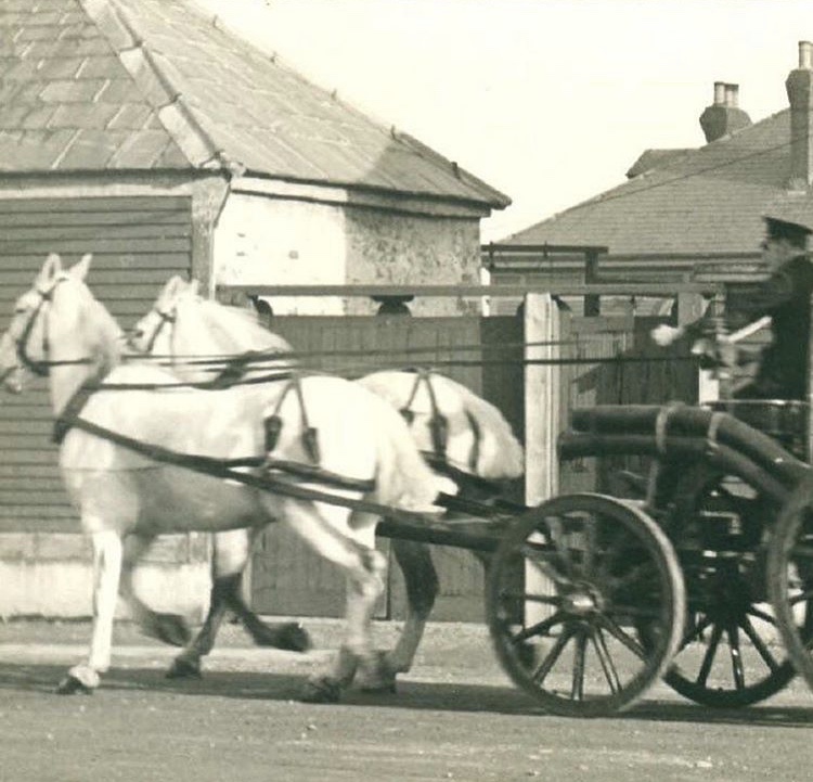 kdprattgroupinc's tweet image. Pictures from @CBCNL today.

Congratulations to #SJRFD on their 125th Anniversary! It's been a pleasure working with you folks over the years.

#KDPratt