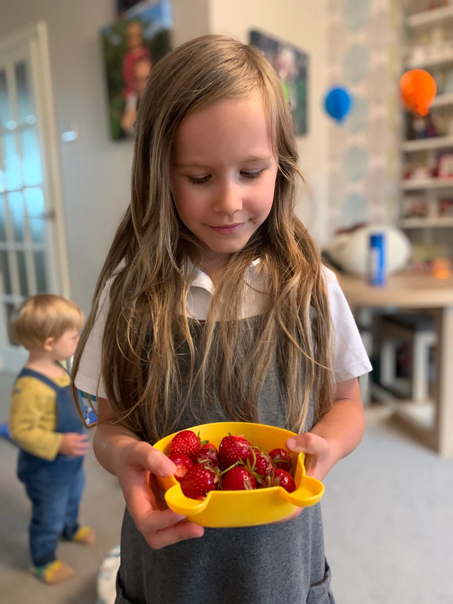 EHacklett's tweet photo. Rose was very pleased with her strawberry crop today! 🍓🤗😋 She’s a super grower! ♥️ https://t.co/89NpEGzvF9