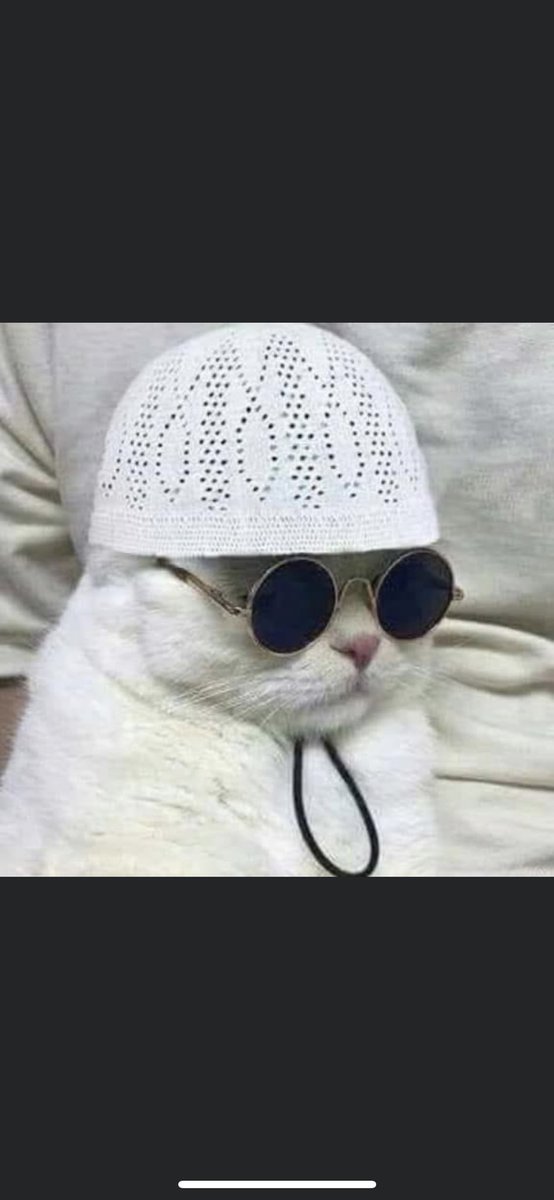 mybeirutnights's tweet photo. When she says she wants a religious guy that’s about dat life https://t.co/CevIgczX9J