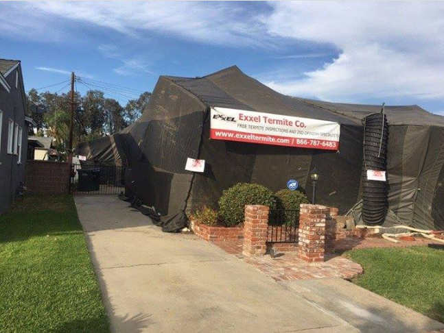 elliethetermite's tweet photo. Scheduling a thorough, and professional termite inspection of your home is your best defense against damage caused by termites! Call us today (866)787-6483! #termitecontrol #exxeltermite #termiteproblems https://t.co/xXRWyzKzpo