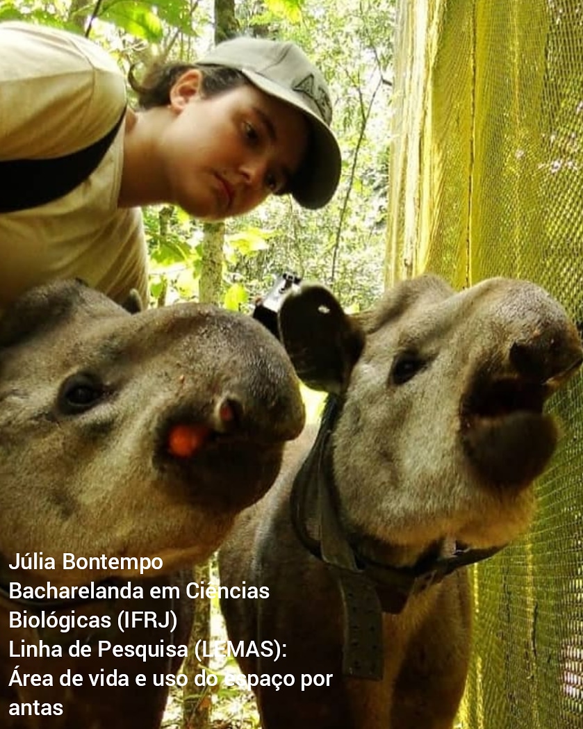 IfrjLemas's tweet photo. #dianacionaldaciência #science #refauna #tapir #antas https://t.co/vBRY9K2Sd5