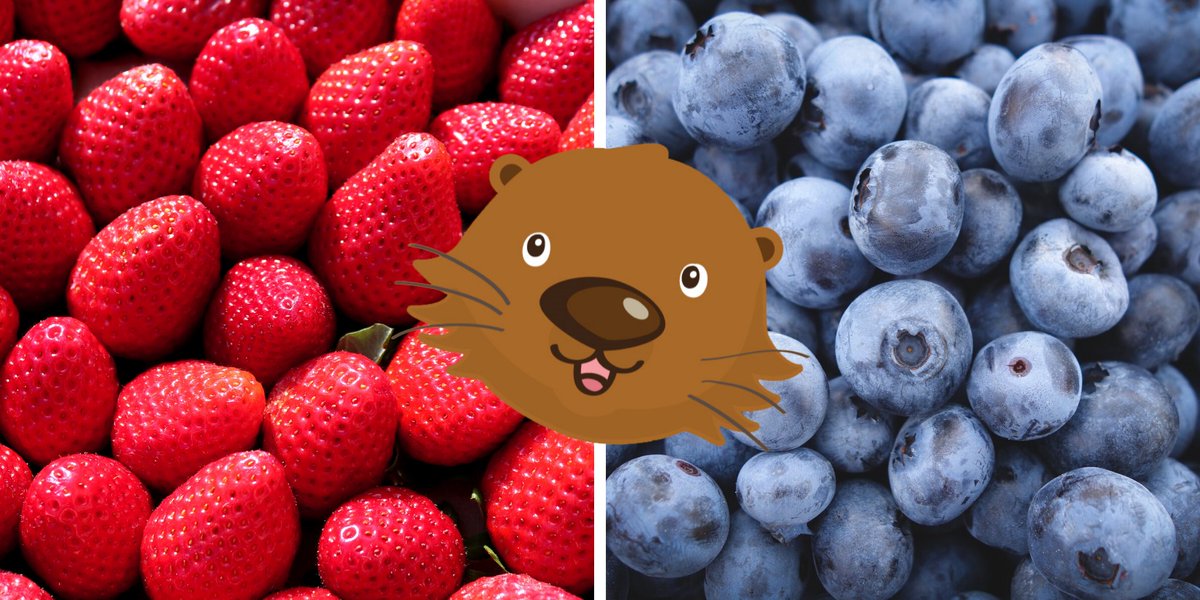 ItsPotter's tweet photo. Strawberries or blueberries? #FruitFaceoff🍓🫐 https://t.co/AWmBtLVB21