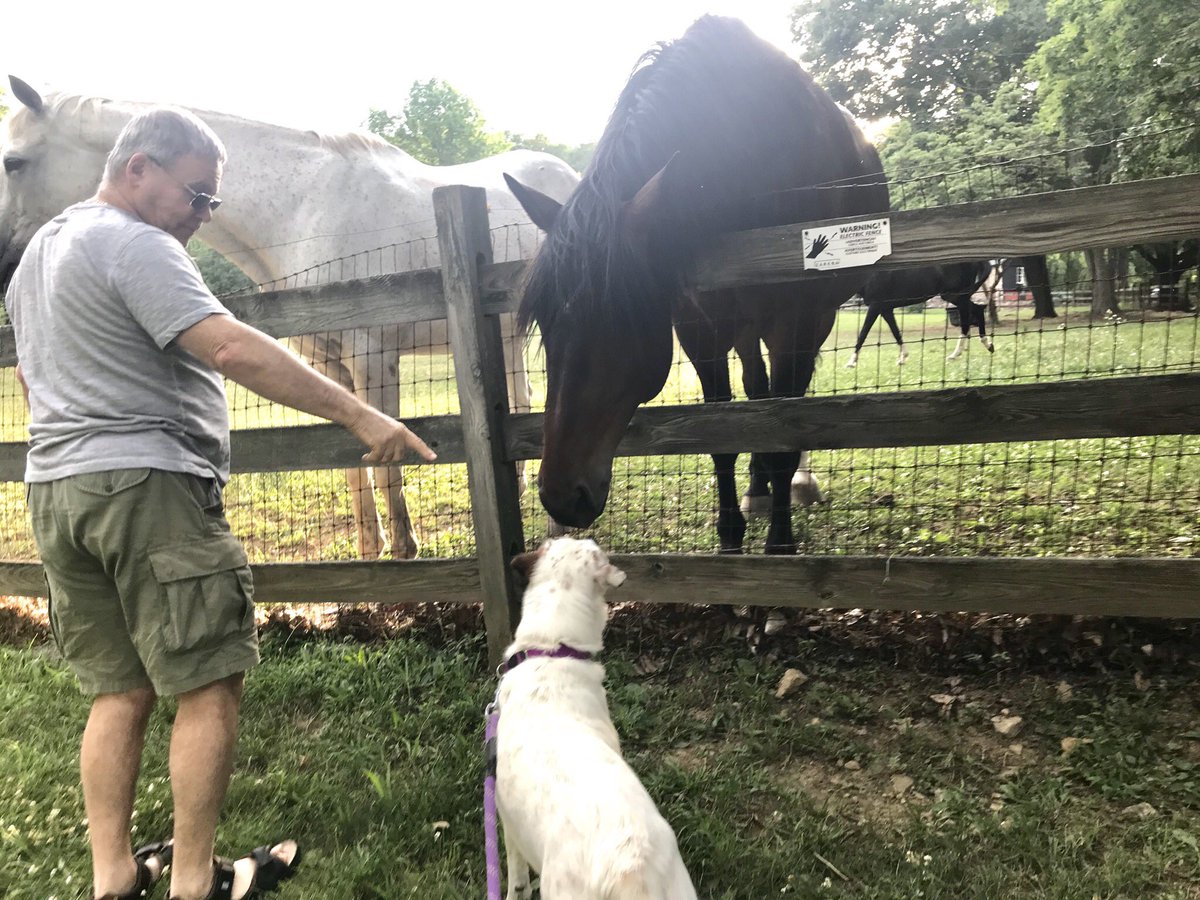 NJTeach151's tweet photo. @acquiredpodcast My dog and a horse exchanged a kiss and it was the cutest thing I’ve ever seen. (My father’s joy was pretty great too.) https://t.co/KDjEa9osB5