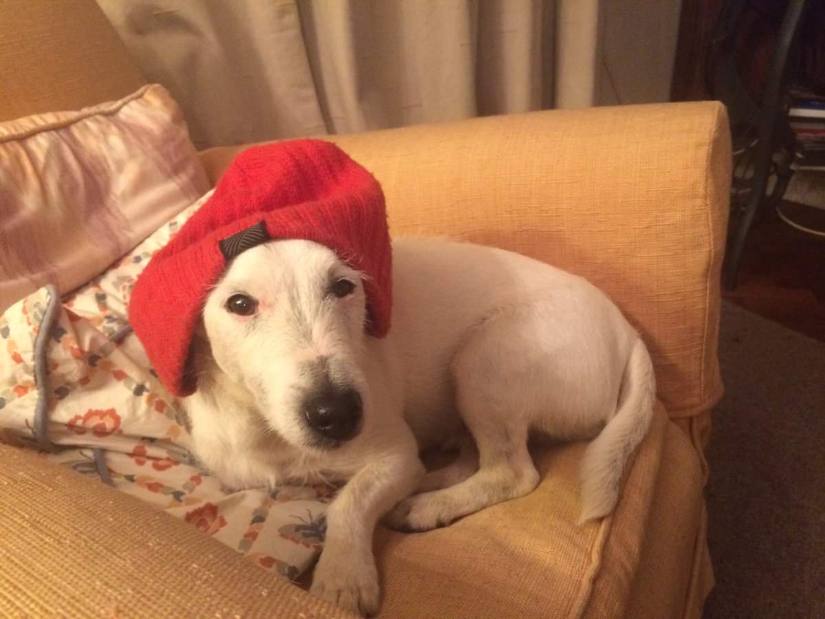 CAMediaUK's tweet photo. @PodLegged @PodLegged I think Jack must be your long lost brother https://t.co/dO7JCDqkmG