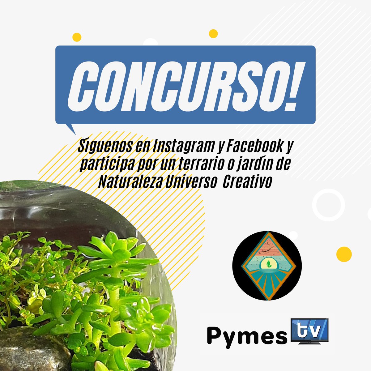 pymestv's tweet photo. Síguenos en Instagram y Facebook y ya estarás participando por premios.❤️
El sorteo es hoy a las 20:00 horas en https://t.co/tLKGhzYE0a y puedes verlo también en nuestra app y en la señal digital 49.3 de @radioamericatv para toda La Serena y Coquimbo. https://t.co/9gLD3X28w8