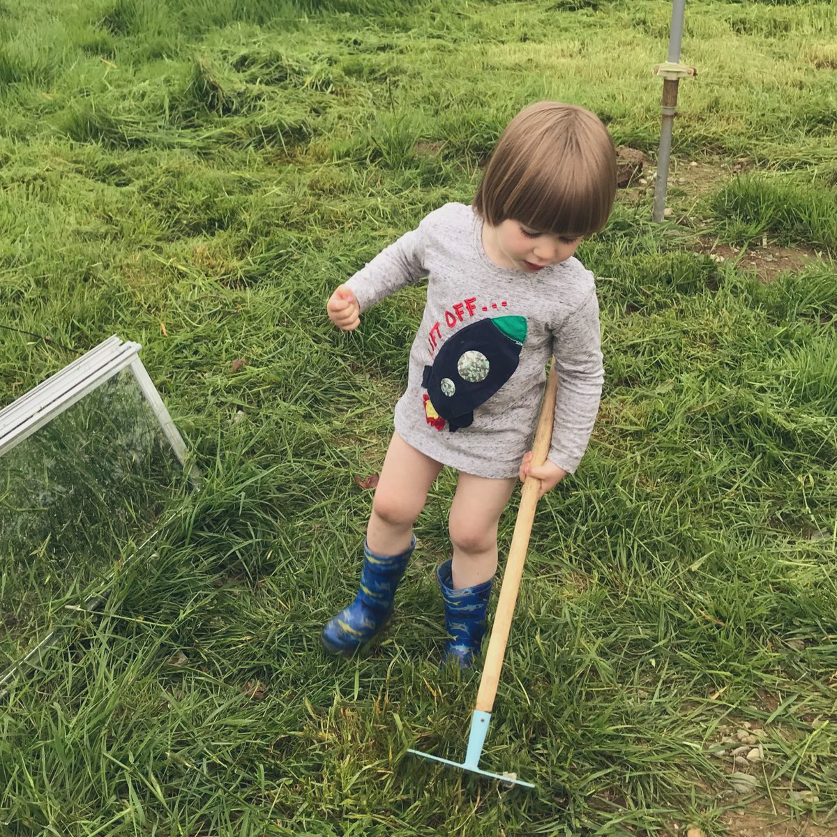 BeeActiv_Conan tweet media