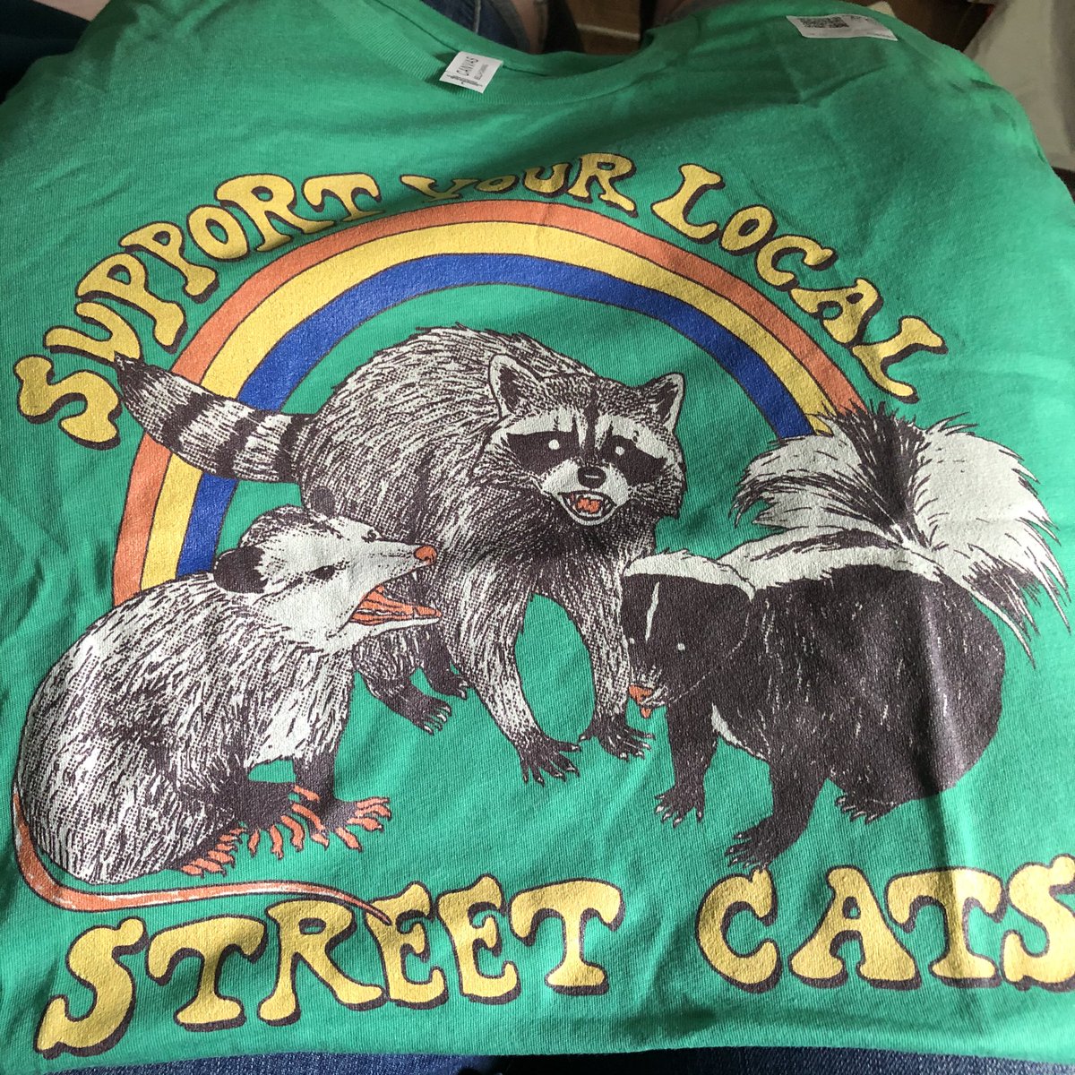 meatballshawty's tweet photo. Just got this amazing shirt in the mail from my sister @beautifullyvgn, who clearly understands me perfectly. #supportyourlocalstreetcats https://t.co/yzFjZsBBz4