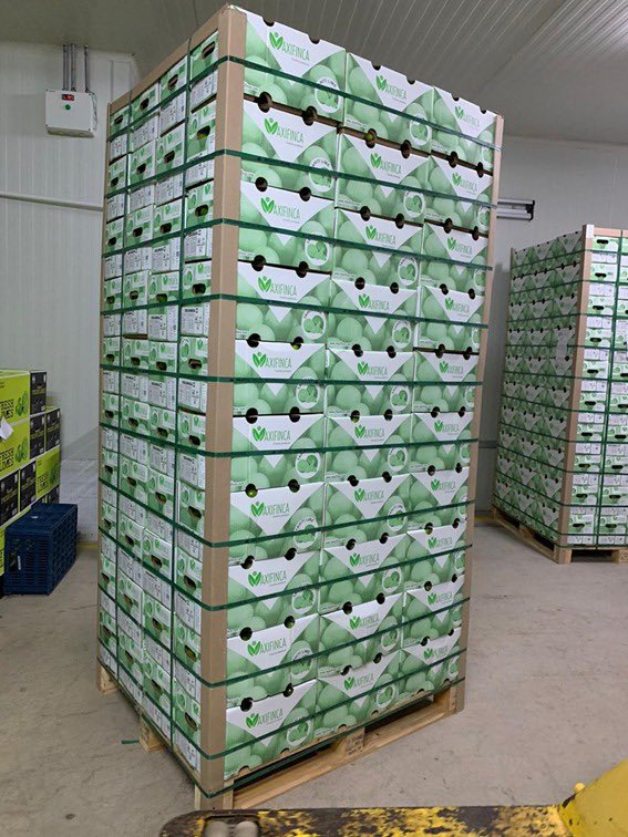 Ya va rumbo a Dubai primera  exportación de limón Tahití desde el Valle del Cauca, firma exportadora MaxiFinca. Gob del Pdte. <a href="/IvanDuque/">Iván Duque 🇨🇴</a> más apoyo para #NuevosMercadosParaColombia #CalidadExportadora