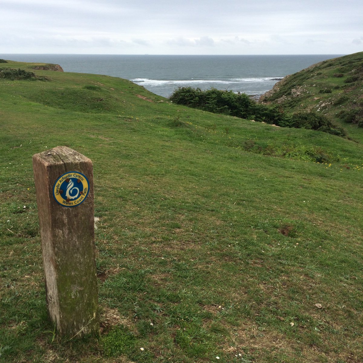 KoruEcology's tweet photo. Yesterday we celebrated the lifting of travel restrictions in Wales and ventured further than 5 miles. But even then we didnโt have to travel much further to get some cracking coastal views. So privileged to live in this corner of #Wales. #Gower #Rhosilli #FallBay https://t.co/MPVCu4rvBG
