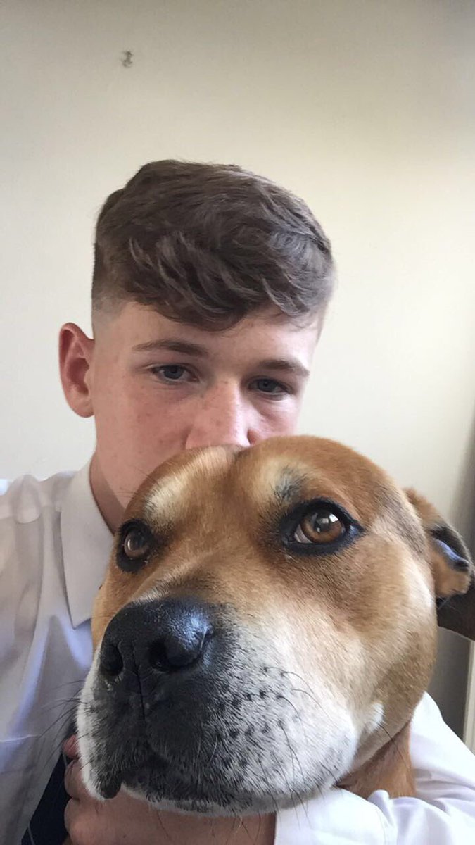 _liamhunt3's tweet photo. Rest in peace Sonny,Love you mate ❤️ https://t.co/azHlmgGssb