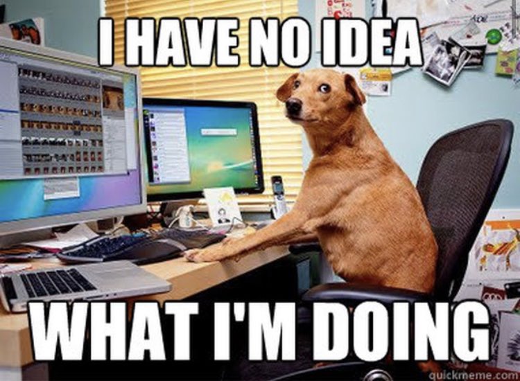 Level4It's tweet image. You don’t want to find yourself in this situation. Contact us for affordable expert-level IT services. 😂😂
⁠
Call us for all your IT Management, Cloud Services, Disaster Recovery, Help Desk and Cybersecurity needs!⁠ #dog #dogmemes #IThumor
