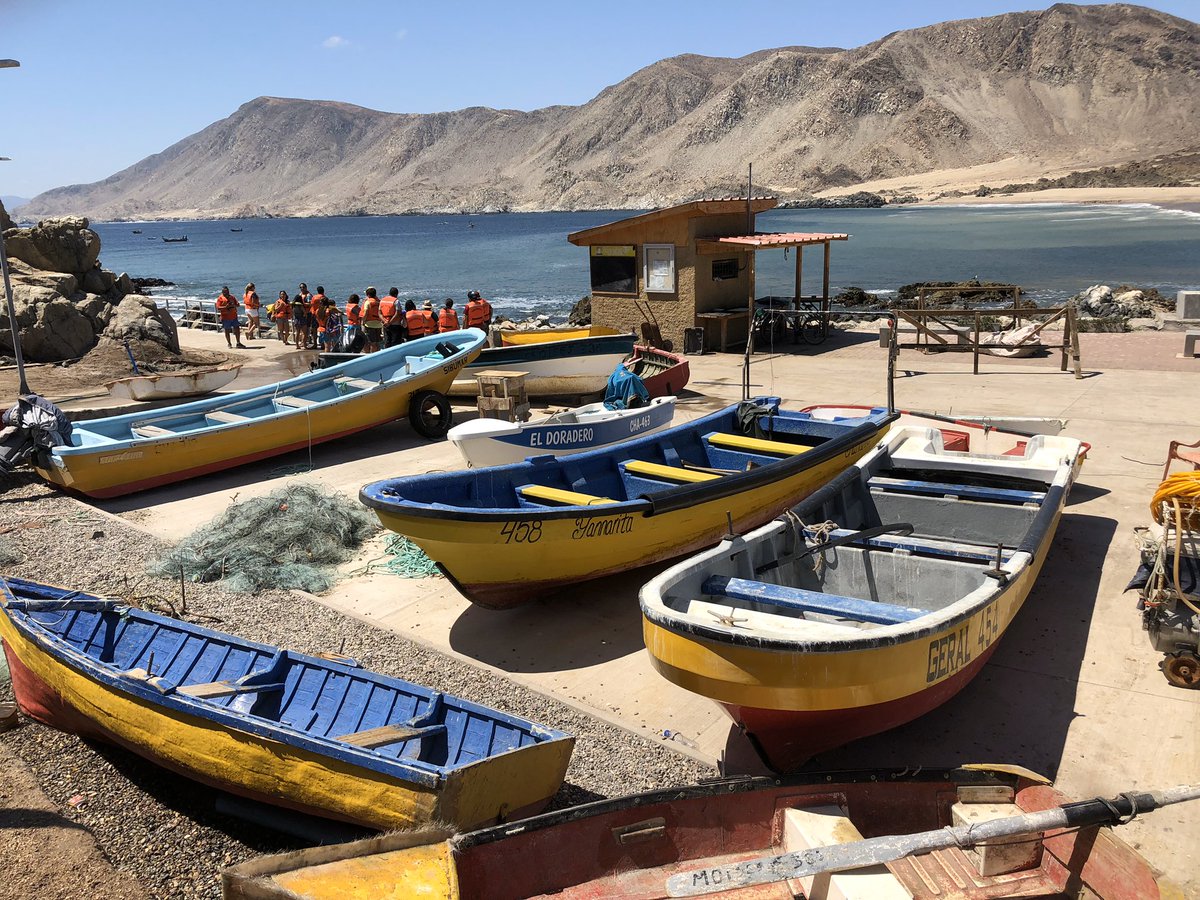 SubpescaCL's tweet photo. A partir de permanente diálogo, a ley corta de pesca -aprobada en comisión #pesca @Senado_Chile- se agregaron otras materias: avanzar en uso de artes de pesca más sustentables, buenas prácticas pesqueras y fomento del consumo humano de productos del mar, entre otras🇨🇱@meconomia https://t.co/jAZcsCVGTZ