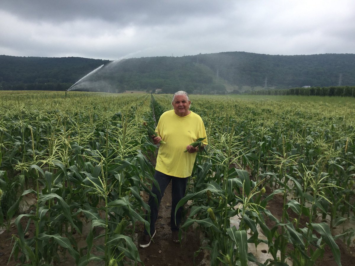 ProducePete4NY's tweet photo. Coming up in the 8:30 am hr on Saturday Today in New York, Produce Pete is in the cornfield at Donaldson’s Farm in Hackettstown NJ with his Pick of the Week New Jersey Corn🌽🌽🌽 https://t.co/OXQrKdkQ3b