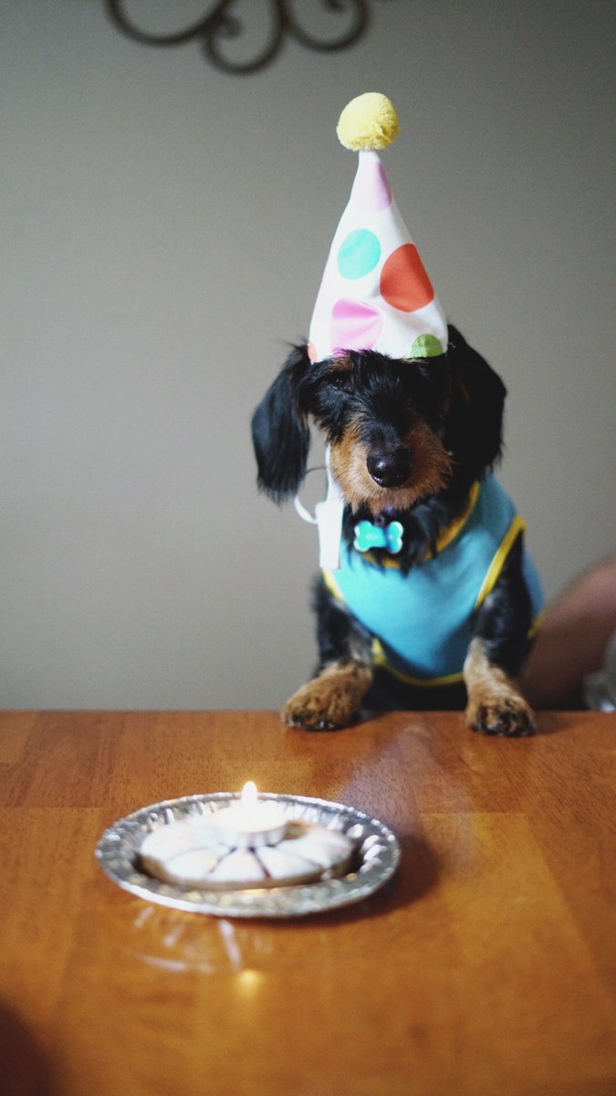 RobovetDotCom's tweet photo. We hit $180k raised over the weekend!

Thank you to our 431 investors and the countless others for your support! Learn why everyone is excited about what is happening at Robovet here: https://t.co/K7lN0aa71P

#Investing #Crowdfunding #Innovation #PetCare #VetCare #Veterinarian https://t.co/uANzTK2WxL