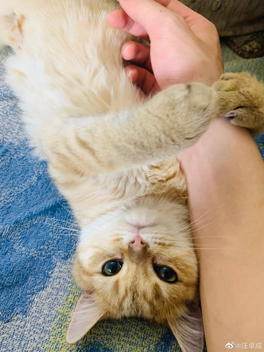 daily danta (@daily_danta) on Twitter photo 