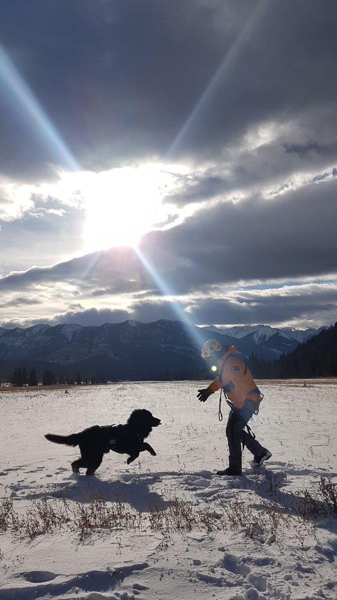 We lost a very good boy last week. One of <a href="/ParksCanada/">Parks Canada</a>’s canine members Cazz, has passed away. To say that Cazz had a full and distinguished career is an understatement. Thank you Cazz, for your service to one and all. 🐾❤️