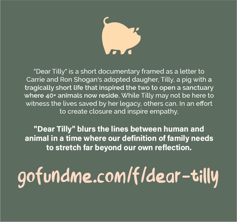 Dear Tilly (@dear_tilly) / Posts / X
