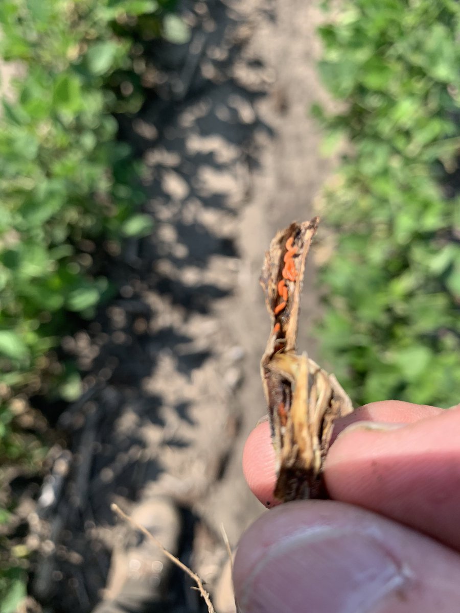 Craig Miller tweet media