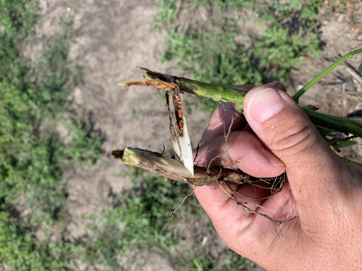 Craig Miller tweet media