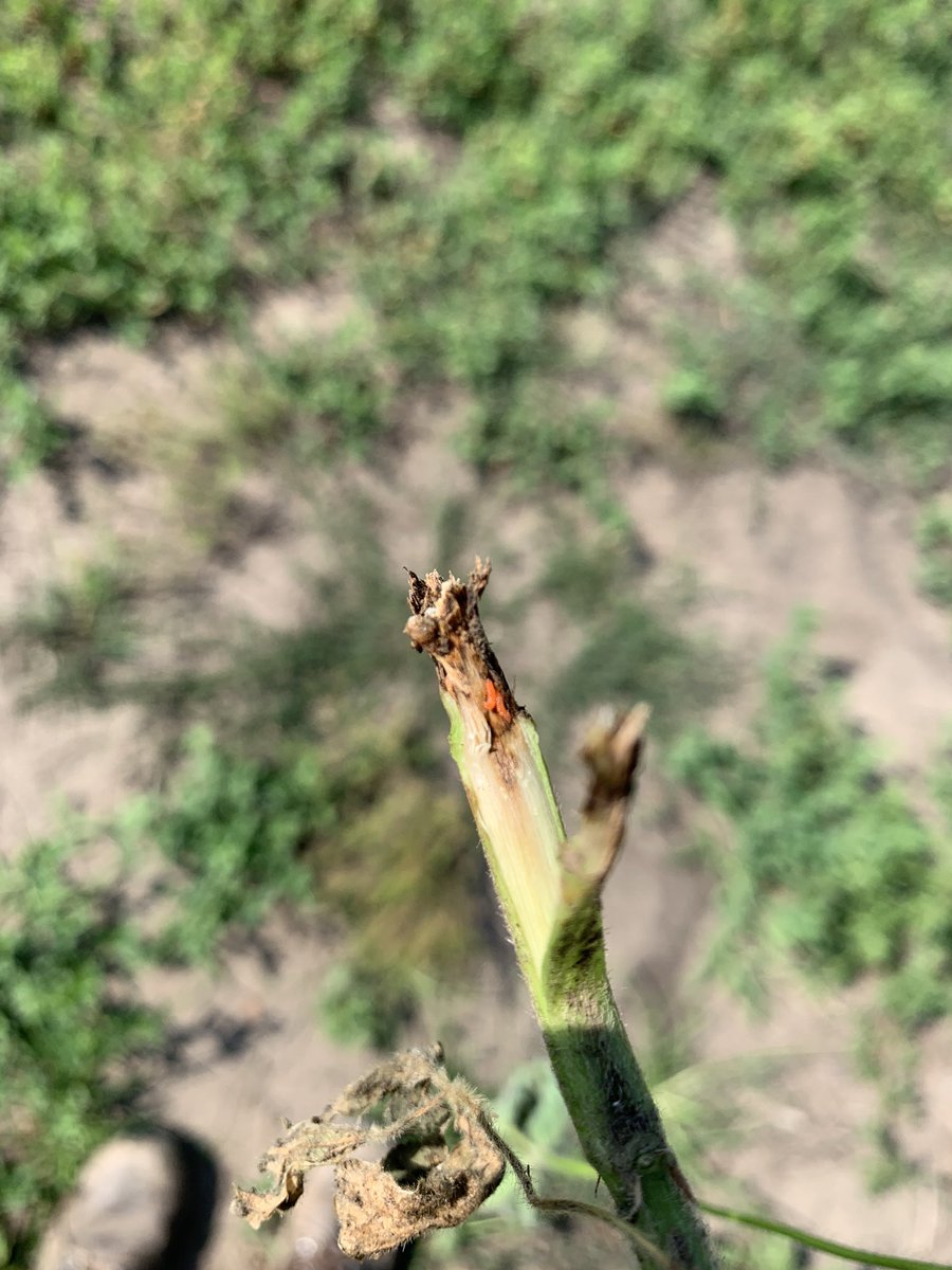 Craig Miller tweet media