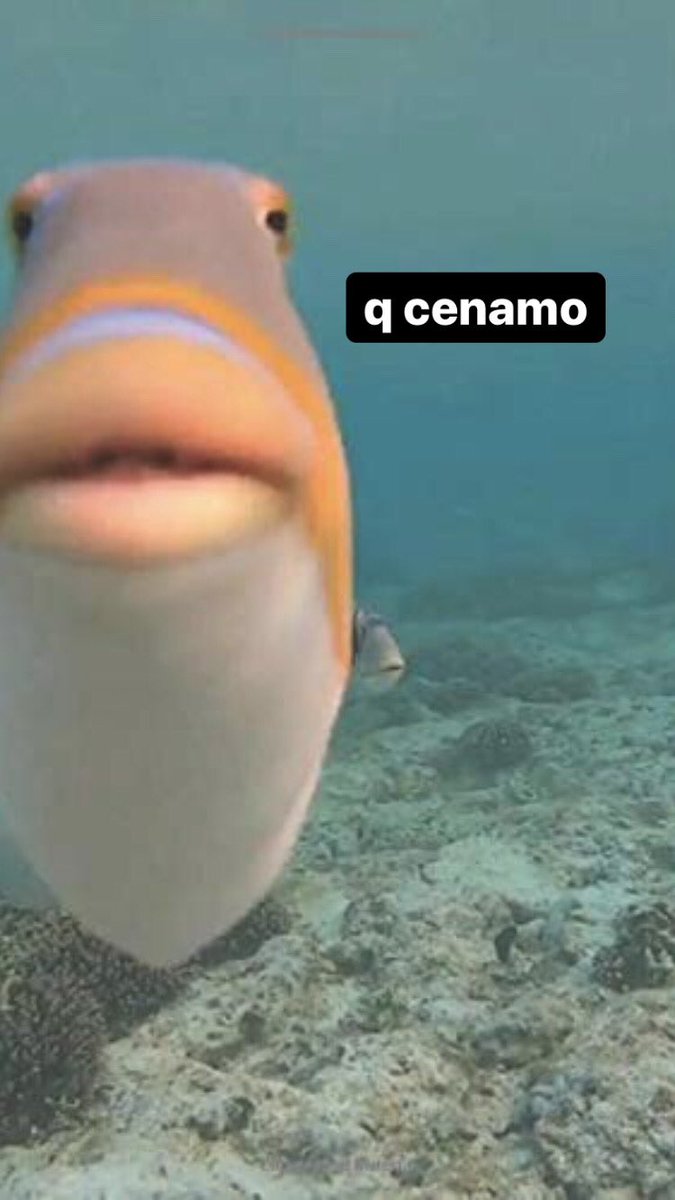 __Oria's tweet photo. La vida en pandemia: https://t.co/OPdrKjXUNf